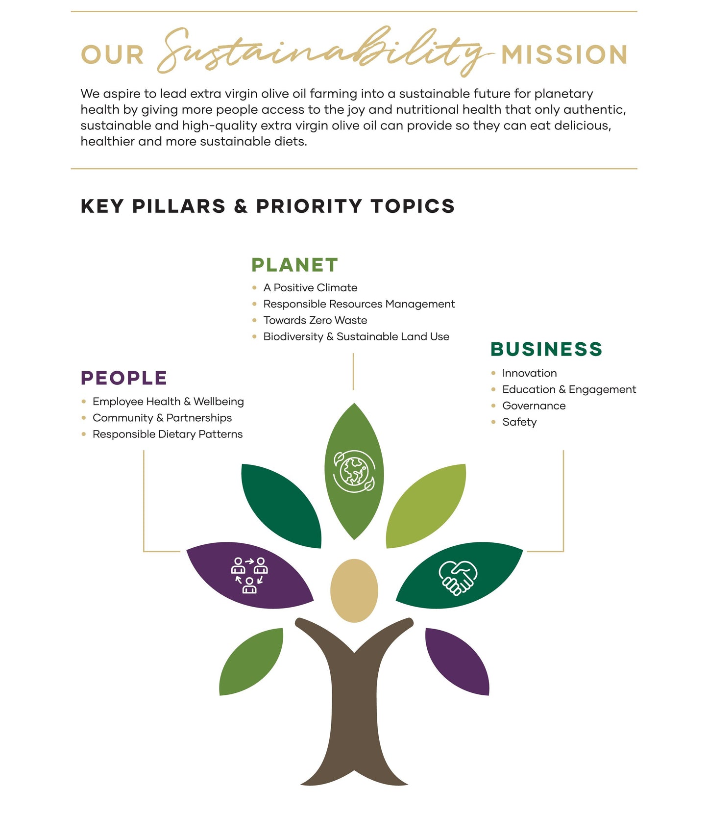 COB Sustainability Mission Infographic | Australian Extra Virgin Olive Oil | Cobram Estate AU