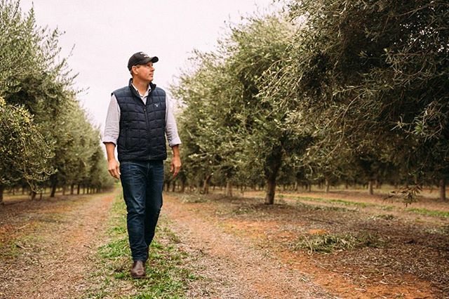 Rob McGavin in Olive Groves  | Australian Extra Virgin Olive Oil | Cobram Estate AU